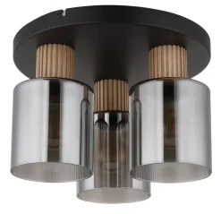 Aleidis 3 plafond