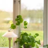 August 34cm bordslampa