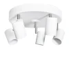 Aurora 5 spotlight