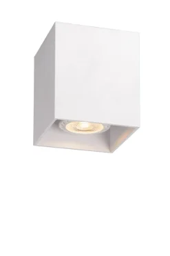 Bodi spotlight