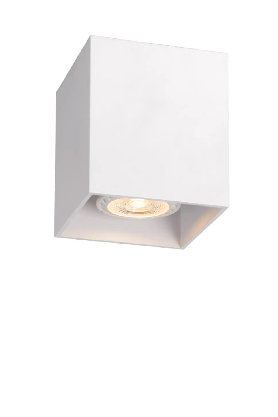 Bodi spotlight