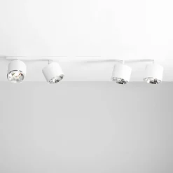Bot 4 spotlight