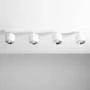 Bot 4 spotlight