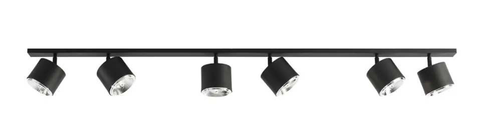 Bot 6 spotlight