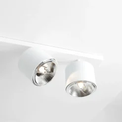 Bot 6 spotlight