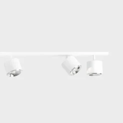 Bot 6 spotlight