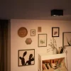 Box 2 spotlight