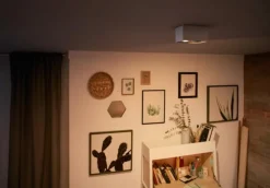 Box 2 spotlight