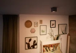 Box spotlight