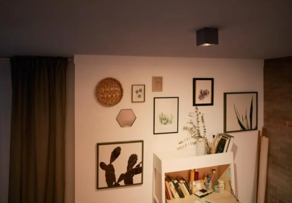 Box spotlight