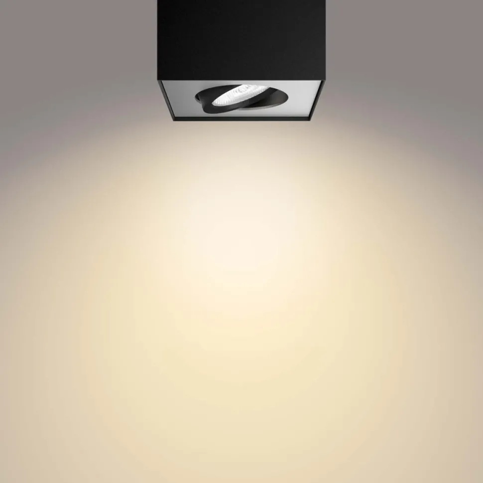 Box spotlight