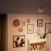 Box spotlight