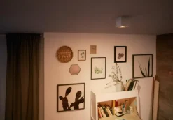 Box spotlight