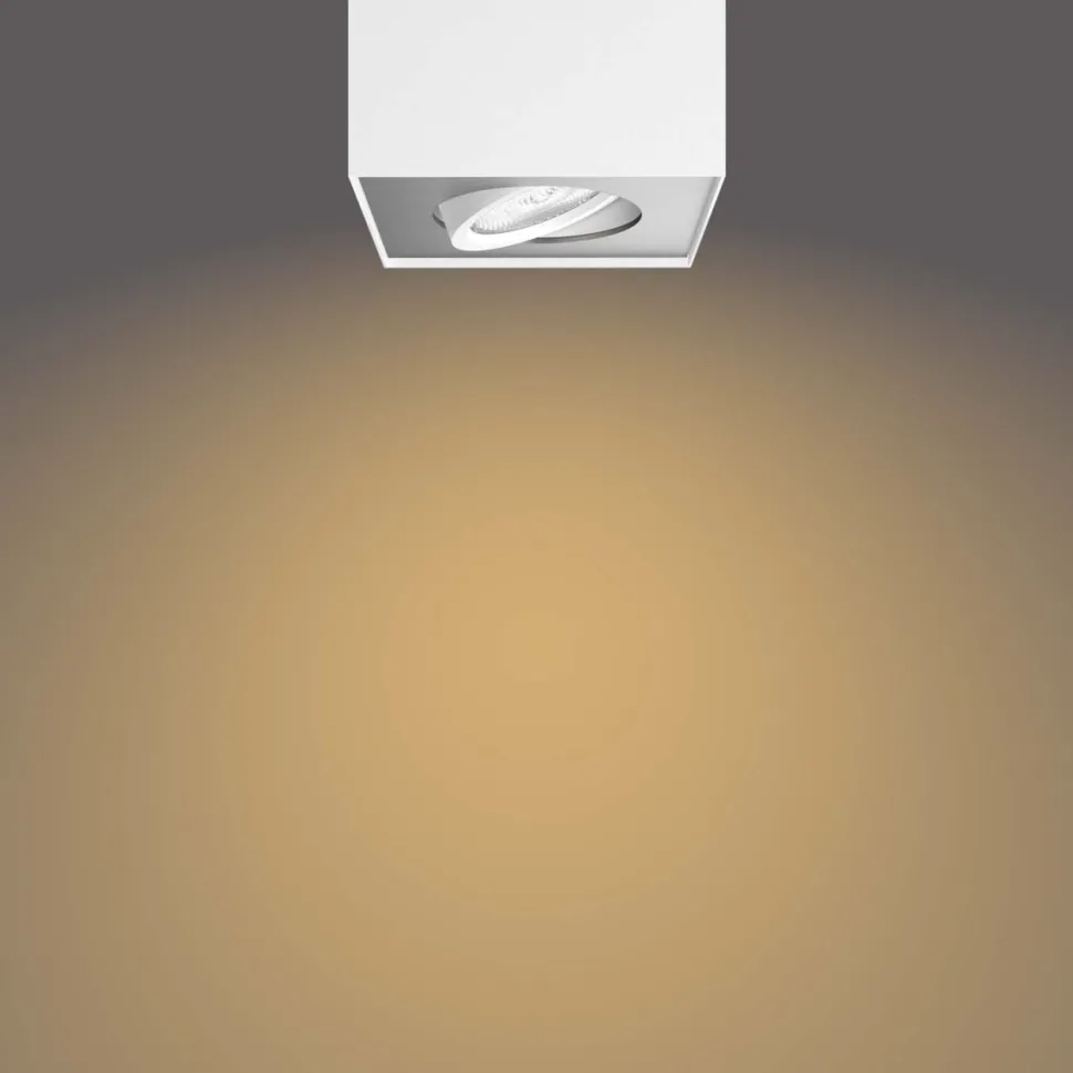 Box spotlight