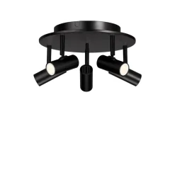 Cato 5 spotlight