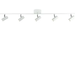 Cato 5 spotlight