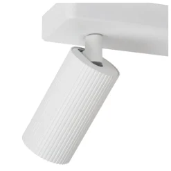 Clubs 2 spotlight