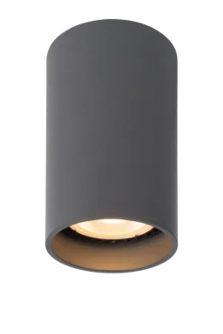 Delto spotlight