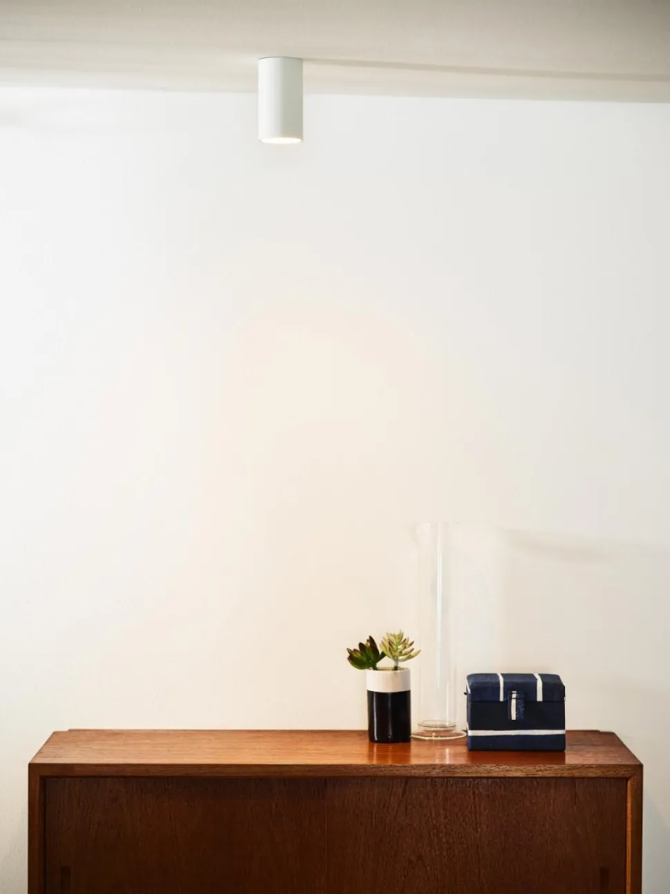 Delto spotlight