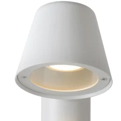 Dingo-LED 70cm pollare