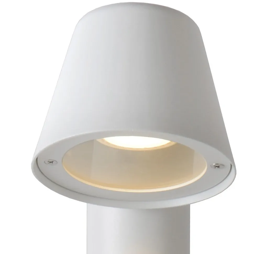 Dingo-LED 70cm pollare
