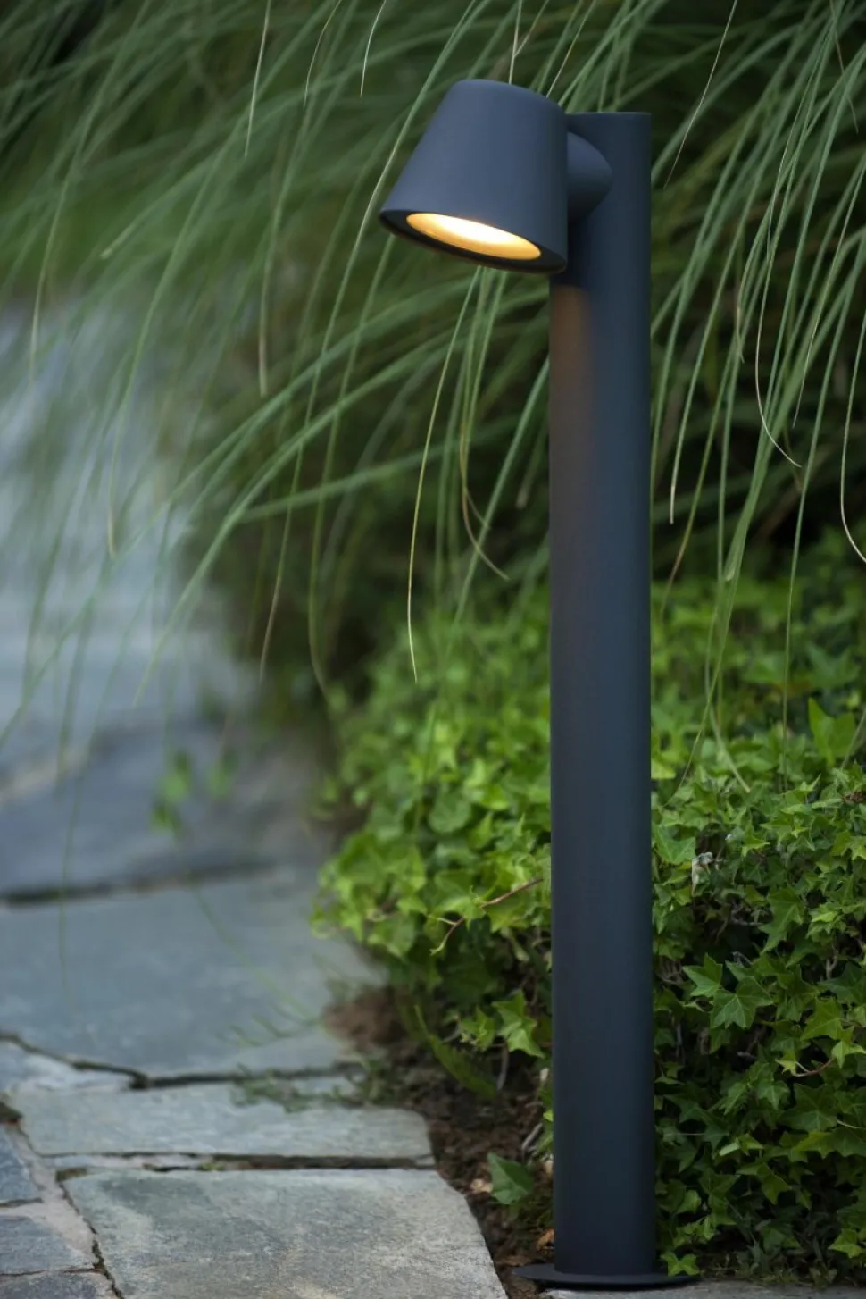 Dingo-LED 70cm pollare