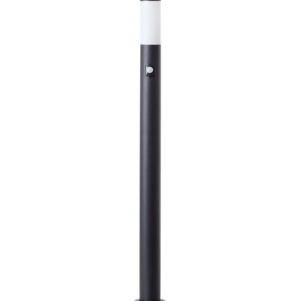 Dody 110cm pollare