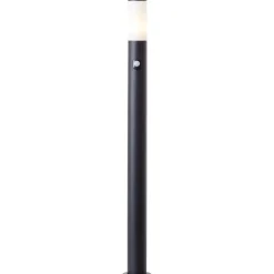 Dody 110cm pollare