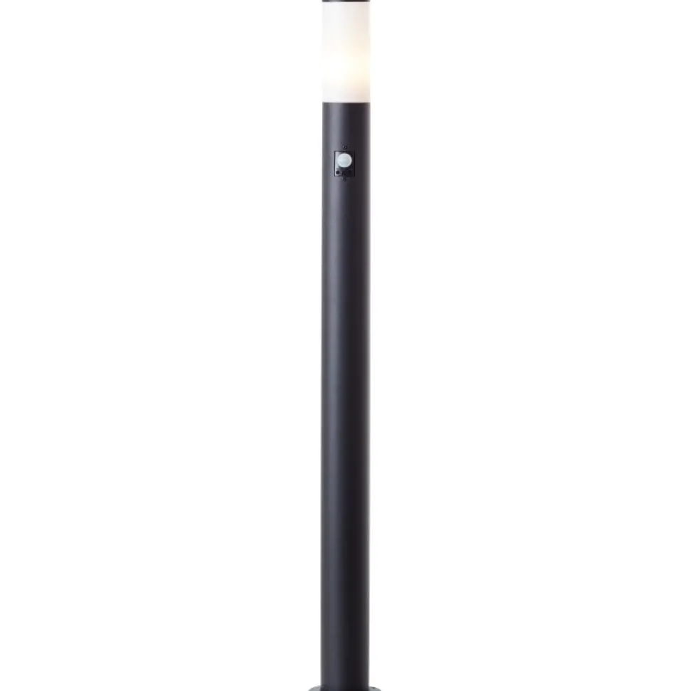Dody 110cm pollare