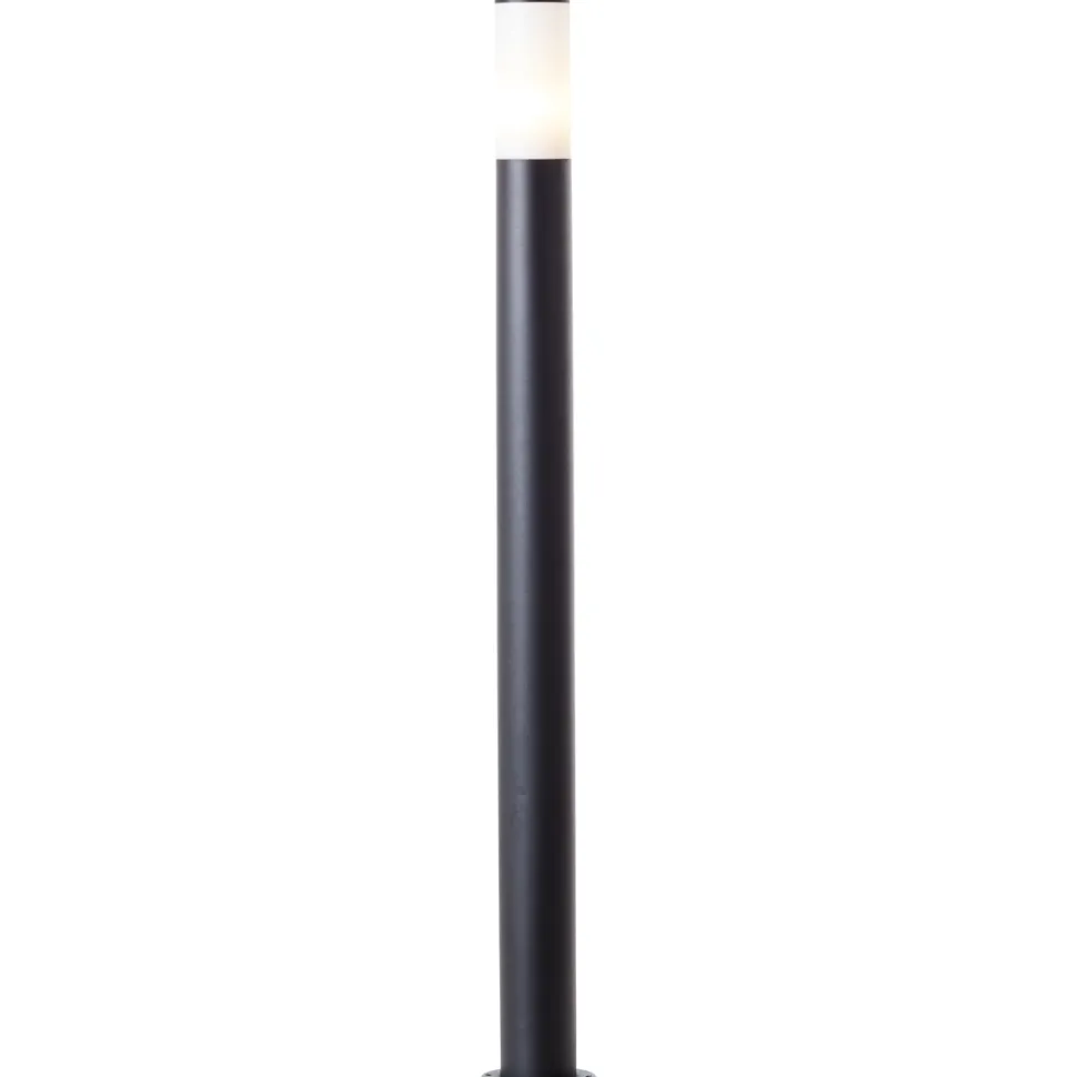 Dody 110cm pollare