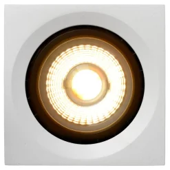 Fedler spotlight