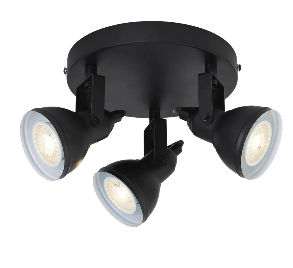 Focus 3 spotlight