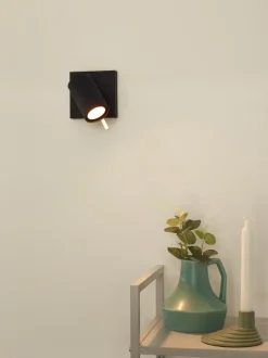 Grony spotlight