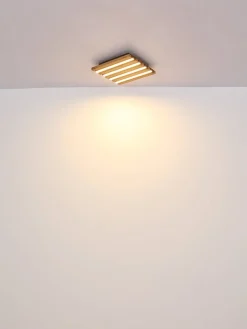 Hayden 30cm plafond