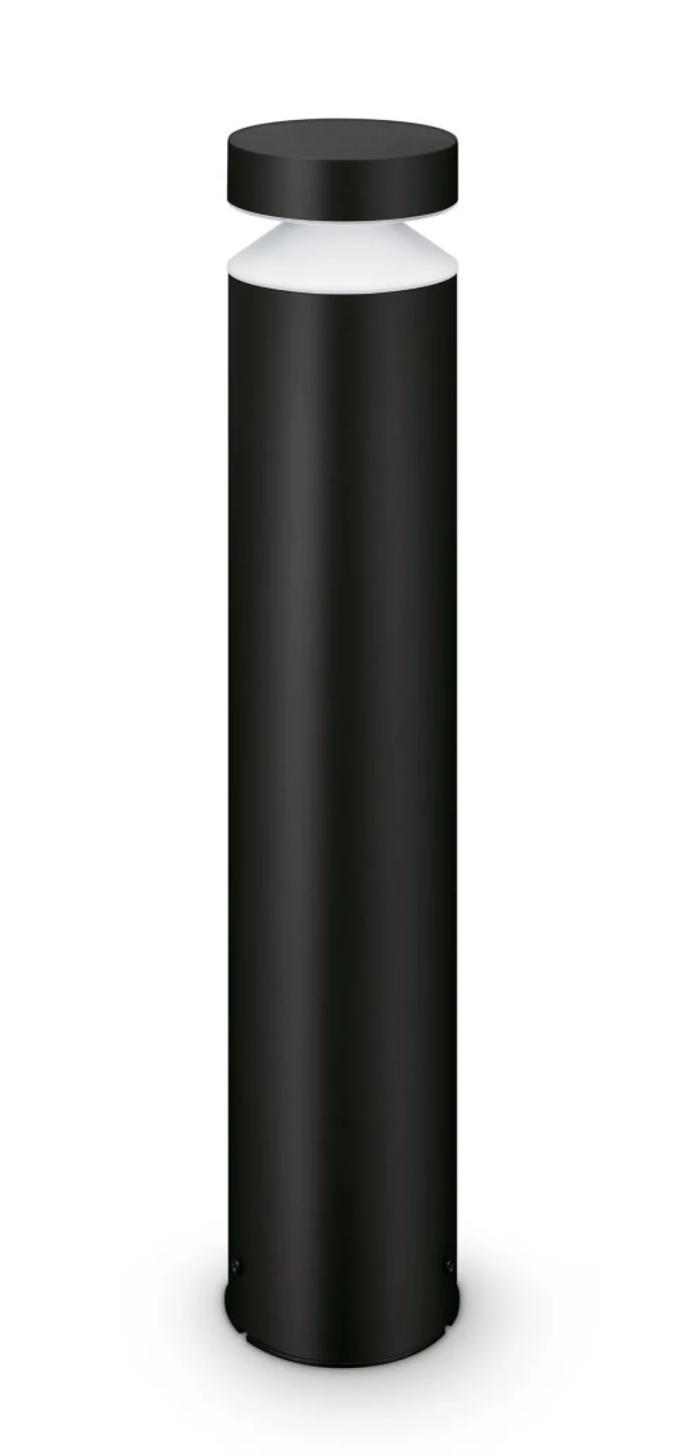 Laven 50cm pollare