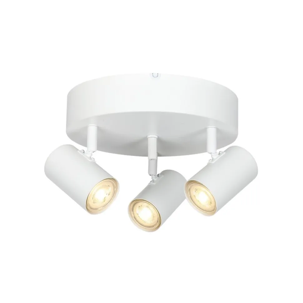 Omega 3 spotlight