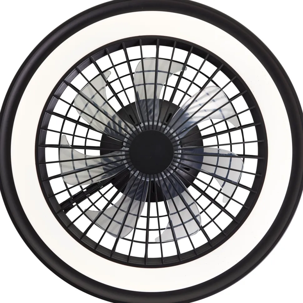 Palmero Ø47