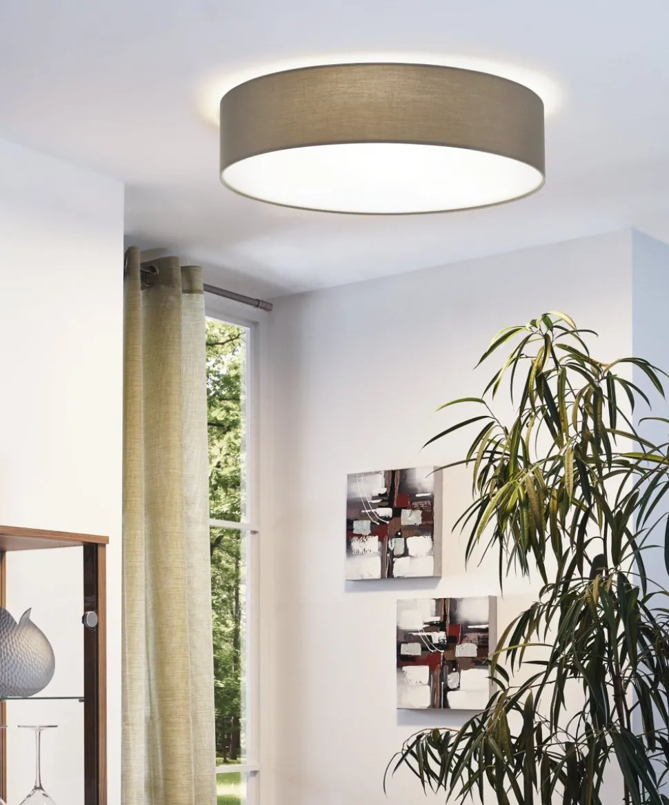 Pasteri Ø57 plafond