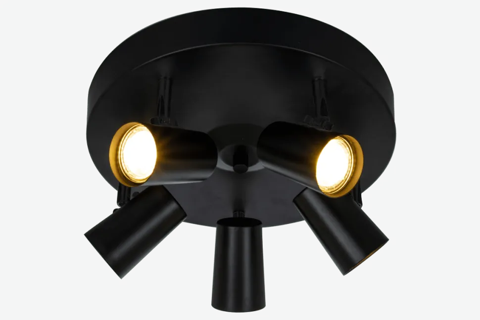 Pilot 5 spotlight
