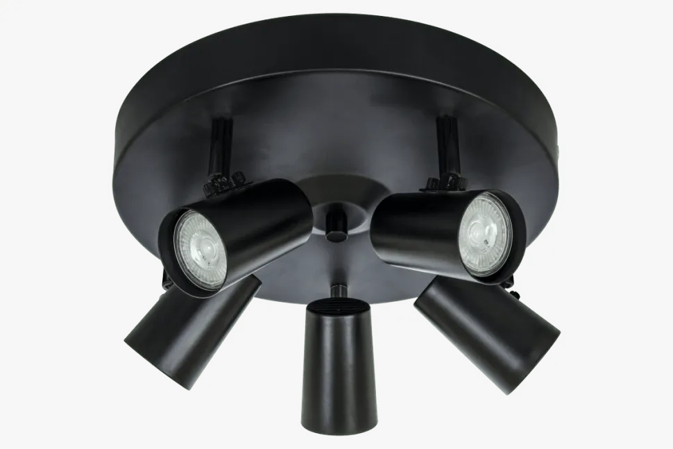Pilot 5 spotlight
