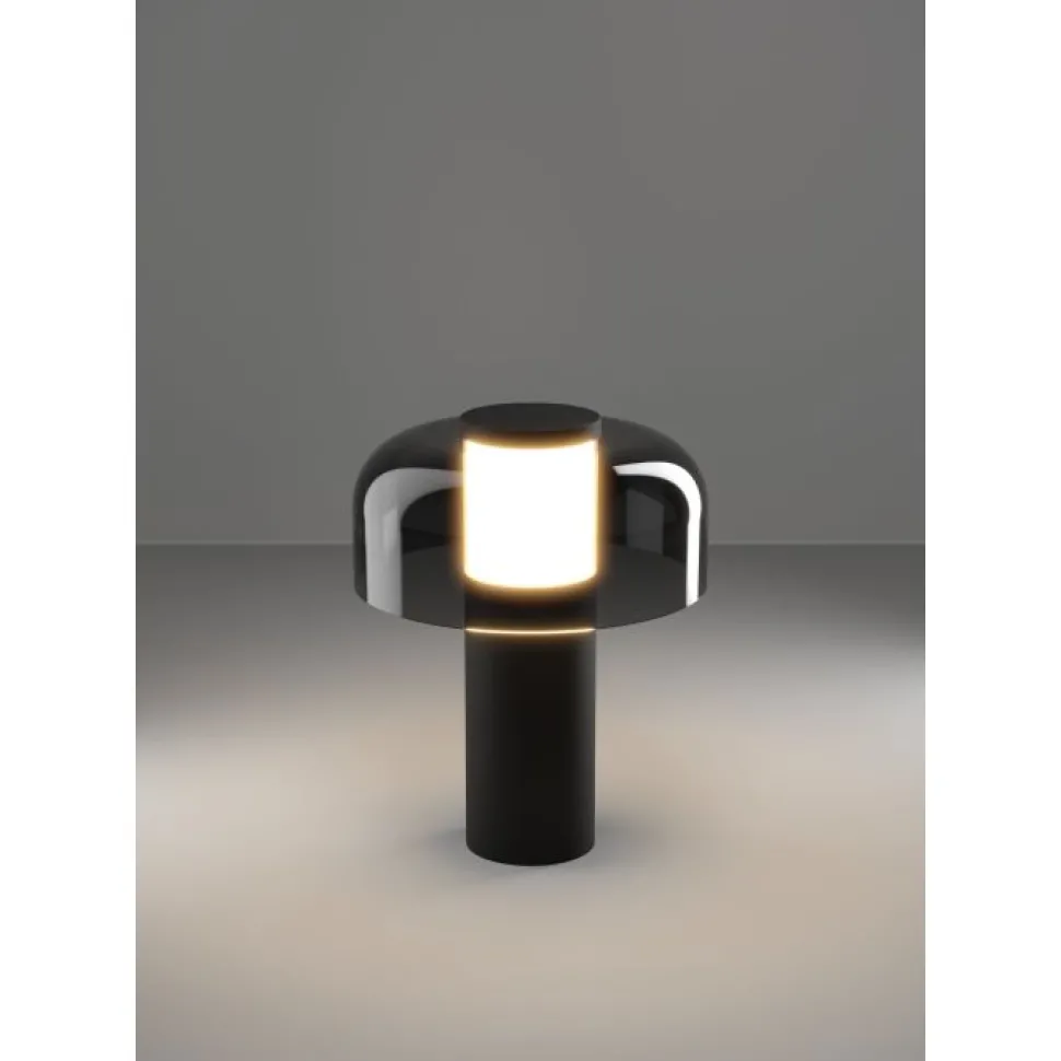 Ponente 20cm portabel