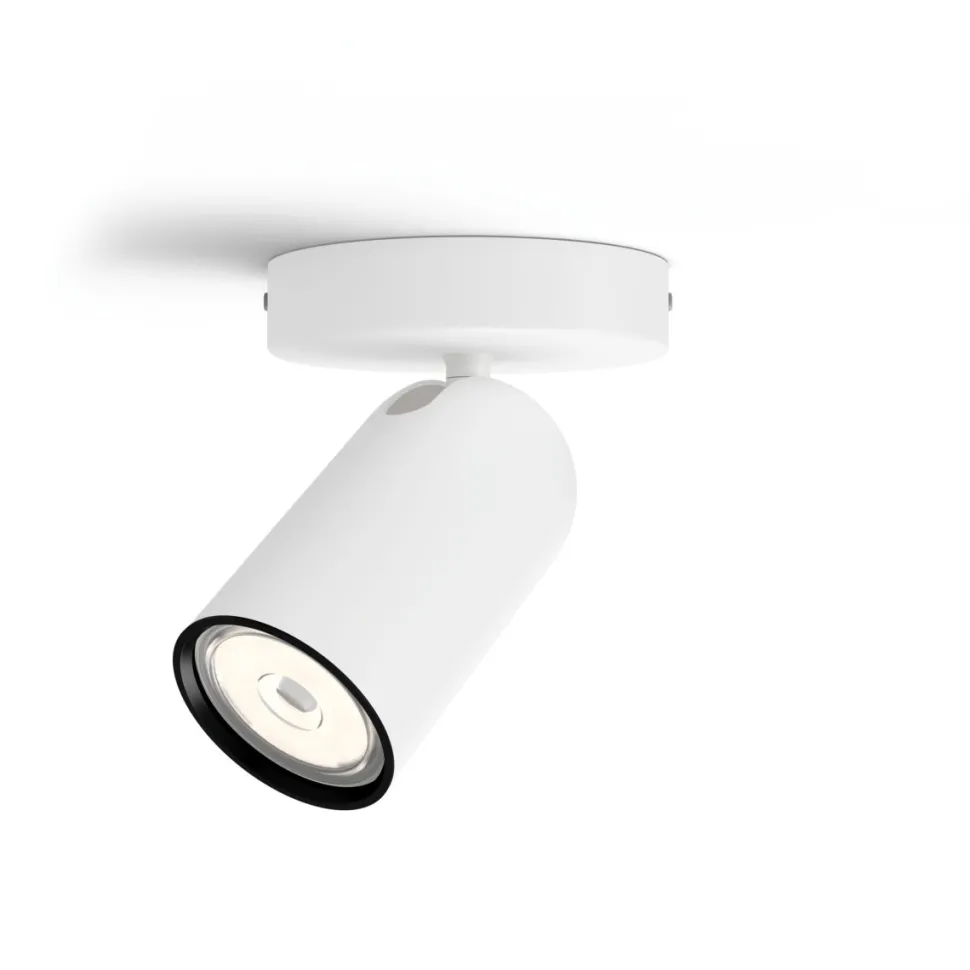Pongee spotlight