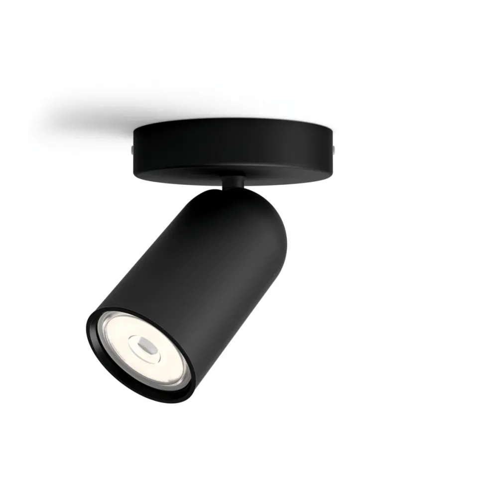 Pongee spotlight