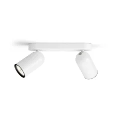 Pongee 2 spotlight
