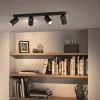 Pongee 4 spotlight