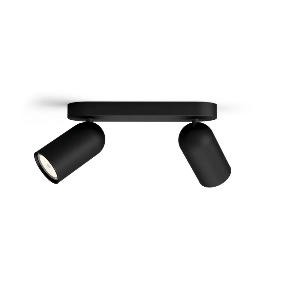 Pongee 2 spotlight