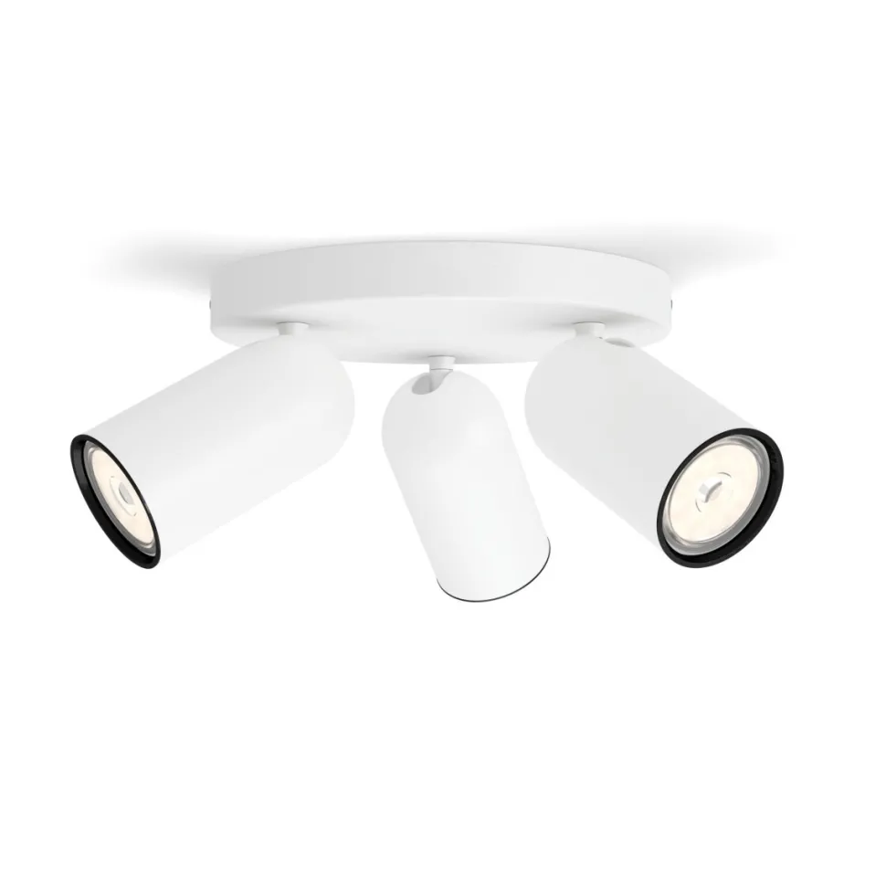 Pongee 3 spotlight