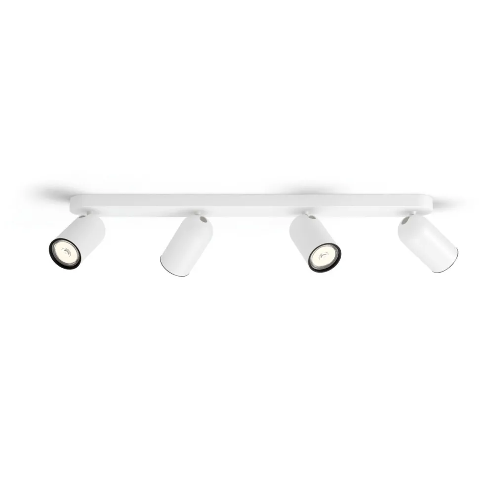 Pongee 4 spotlight