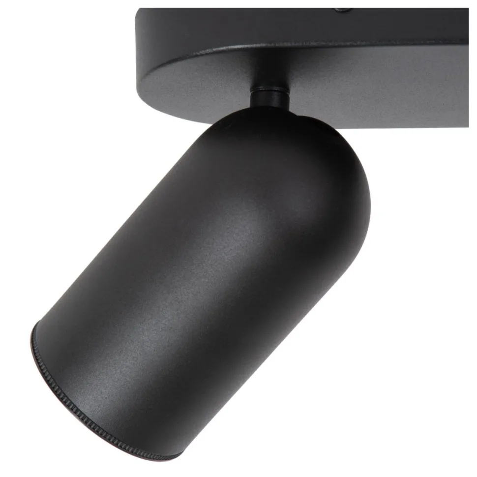 Punch 2 spotlight