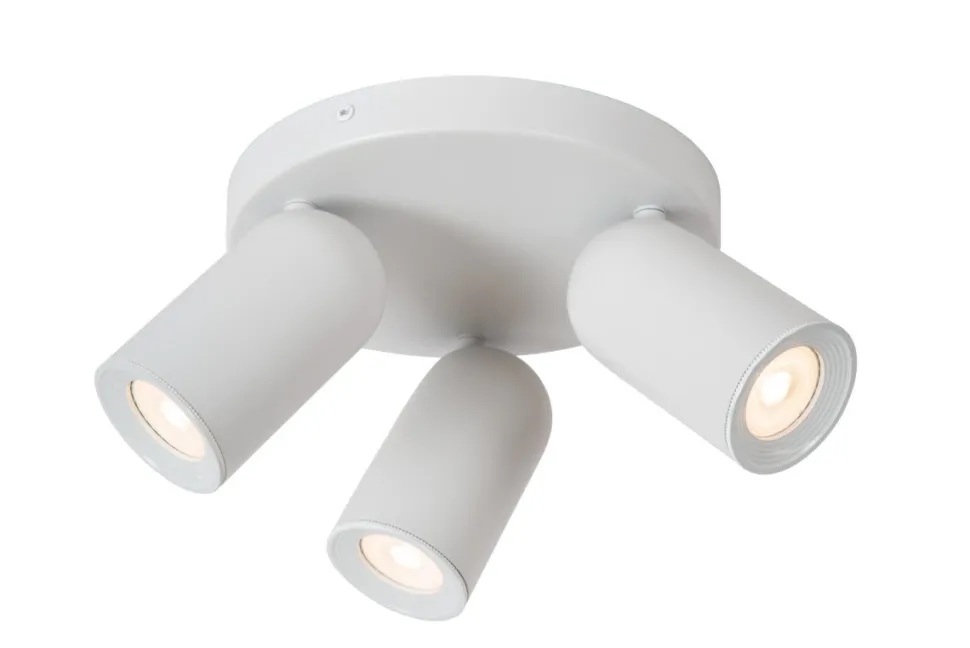 Punch 3 spotlight
